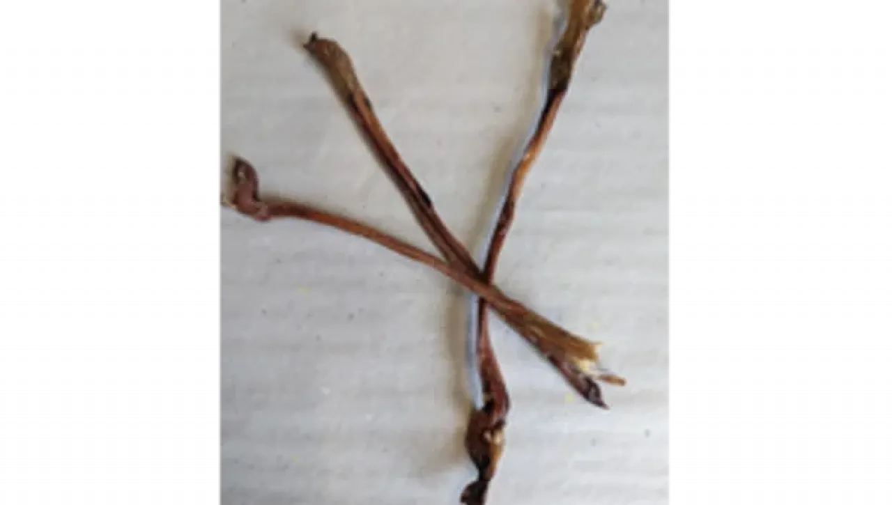 Lamm-Ziemer, 75g